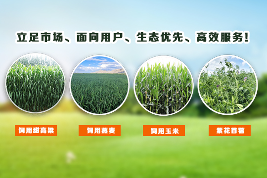 OG东方厅·(中国集团)官方网站