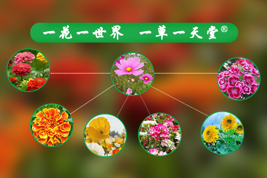 OG东方厅·(中国集团)官方网站