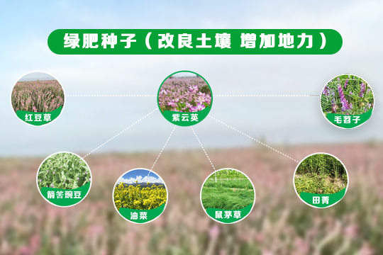 OG东方厅·(中国集团)官方网站