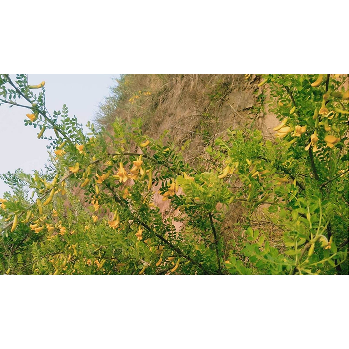 1710729023331125 1710729023331125