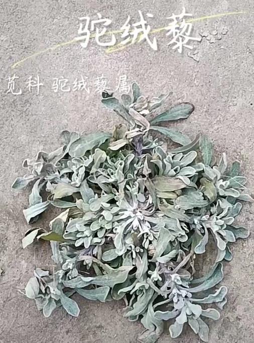 1710828312899590 1710828312899590