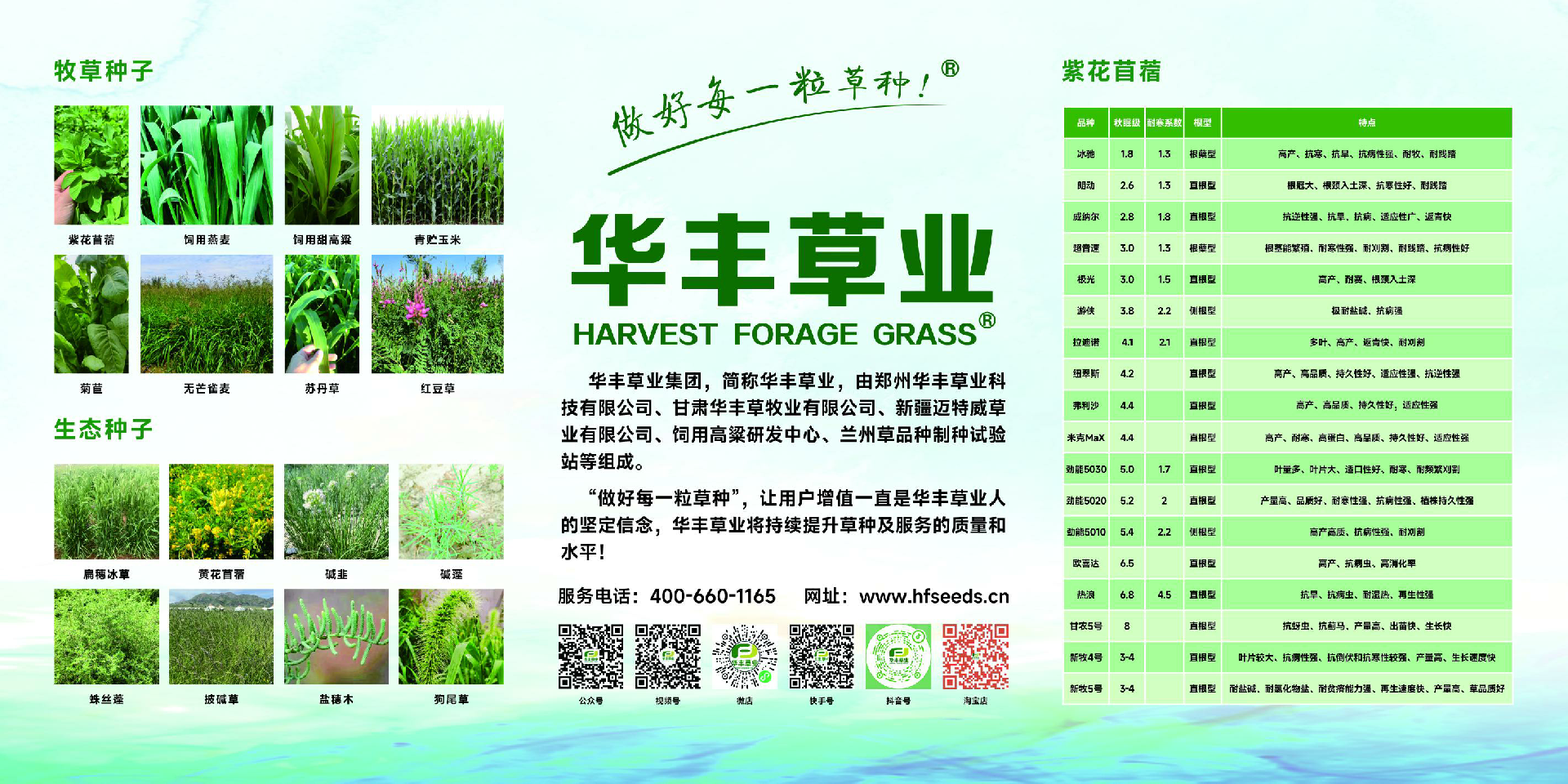 1724150116738890 图片3.png