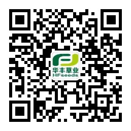 OG东方厅
